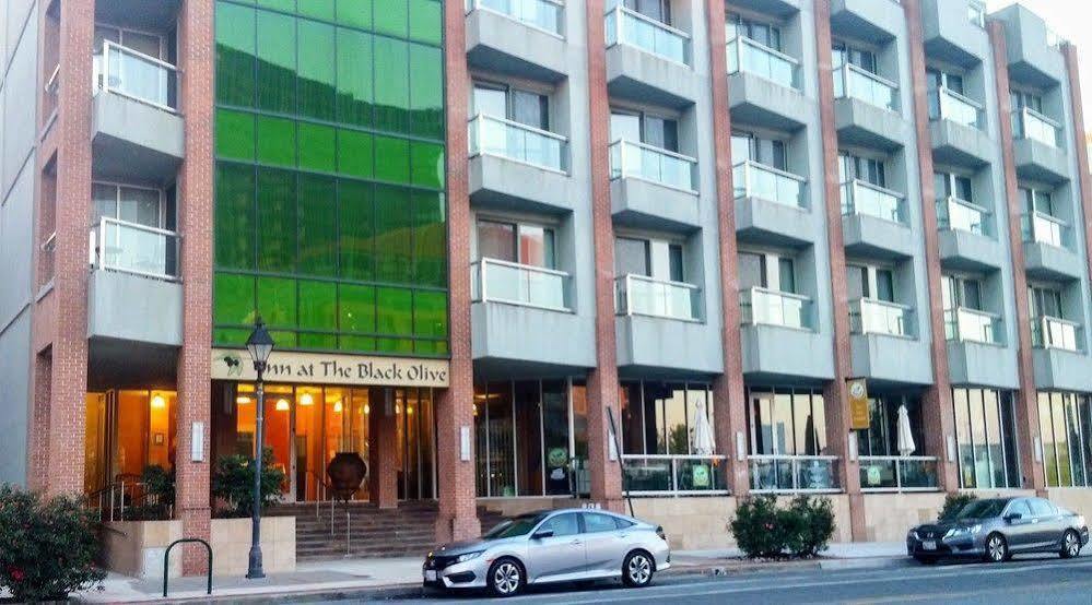 Inn At The Black Olive Baltimore Exteriör bild